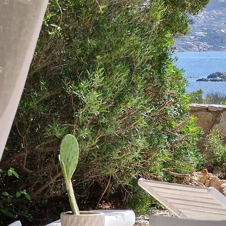 Grace * La Maddalena (Sassari)