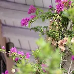 Grace ヴィラ ラ・マッダレーナ