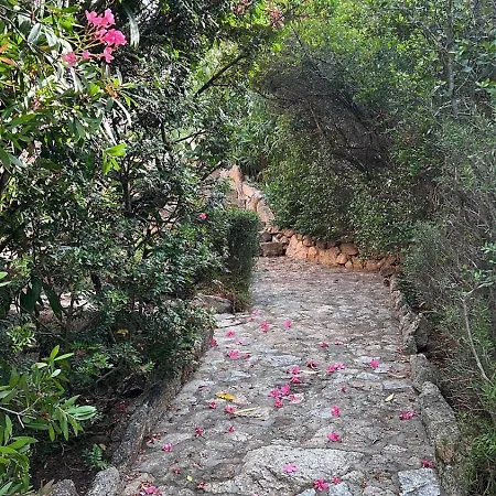 Grace La Maddalena (Sassari)