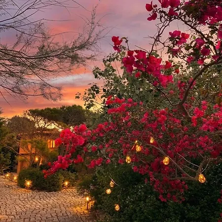 Grace Villa La Maddalena
